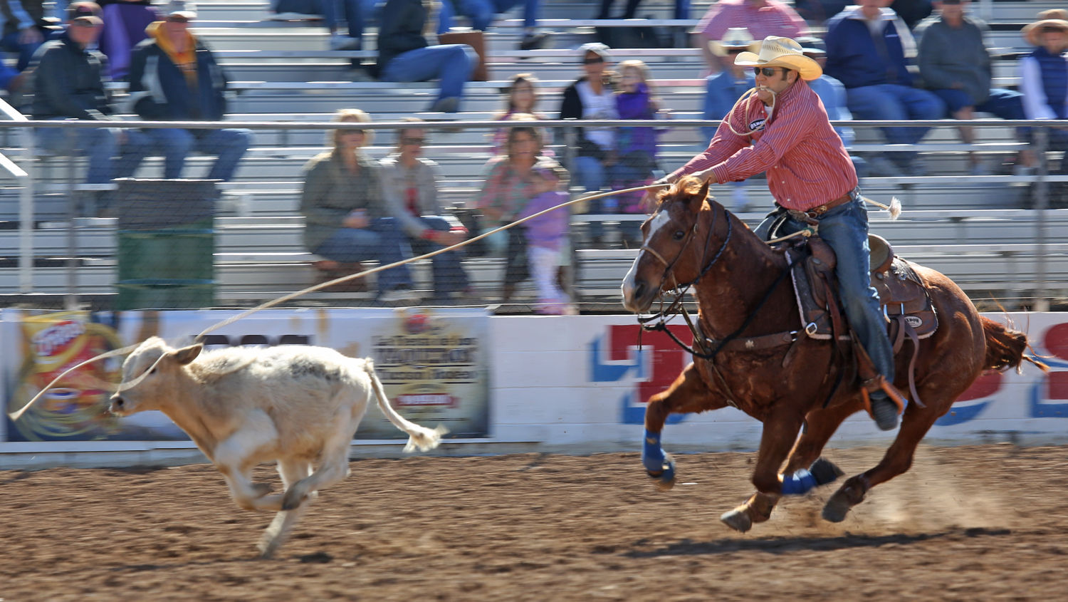 La Fiesta de los Vaqueros